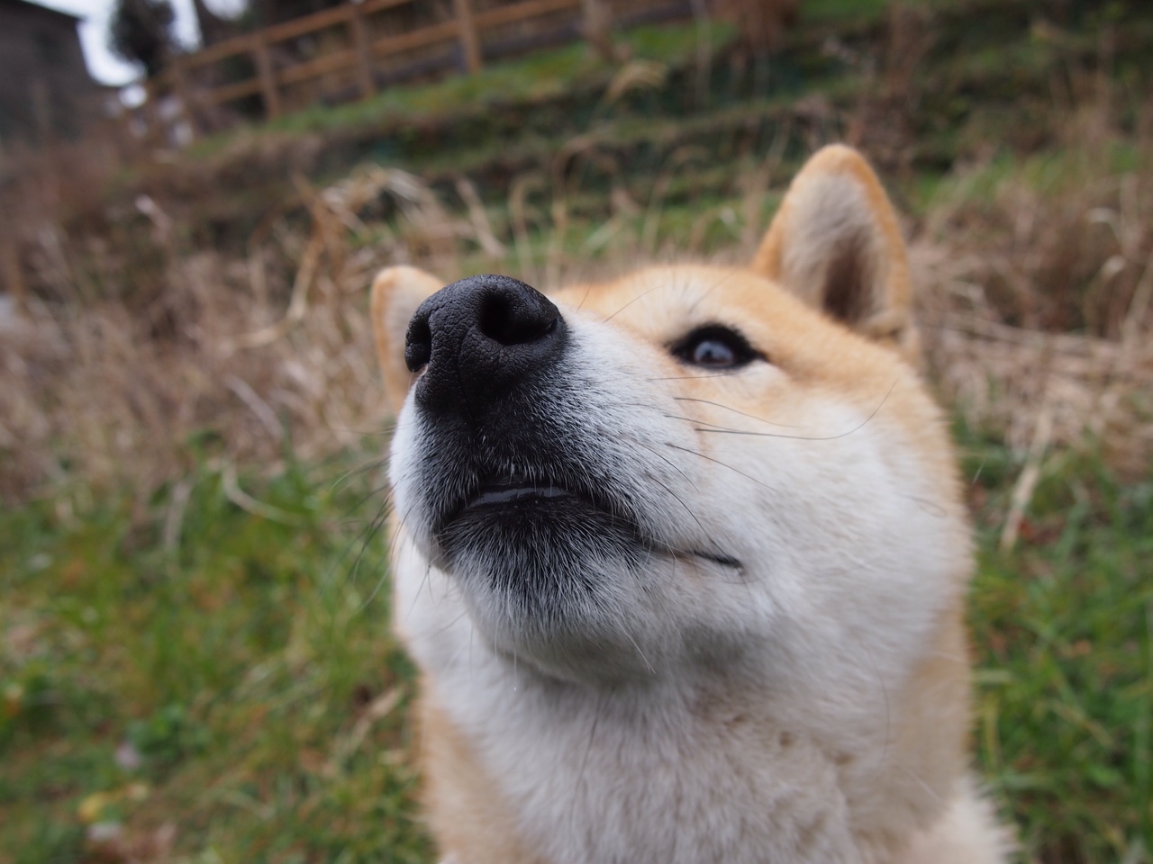 华体会hthhth app-_凯子猛袭快船，旗开得胜势不可挡_，凯子百度百科