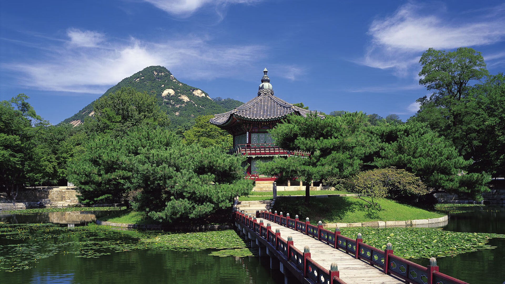 华体会官方网站首页-世界青年举重锦标赛：16岁小将打破两项纪录，青少年举重世界纪录