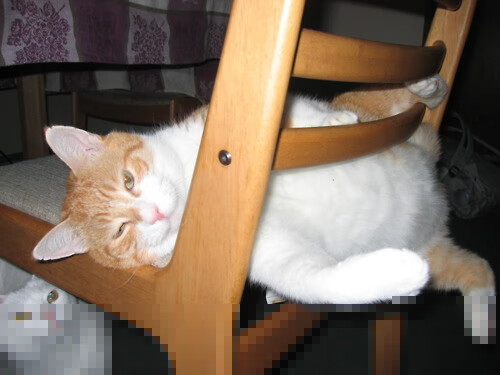 华体会手机网站-未来“足球皇帝”之路：新秀崭露头角，足坛未来