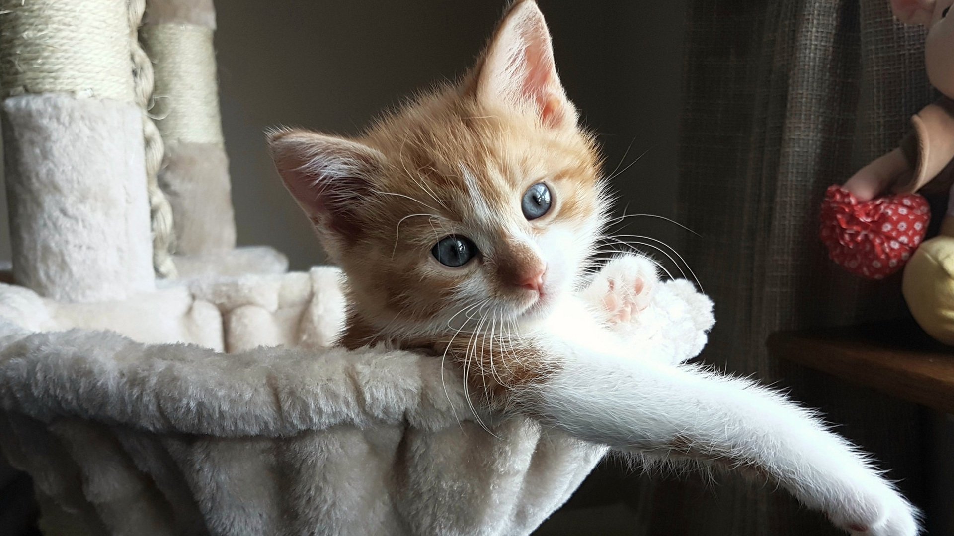 华体会官方网站-西甲不败神话延续，精彩表现引领球队取胜，西甲不败夺冠