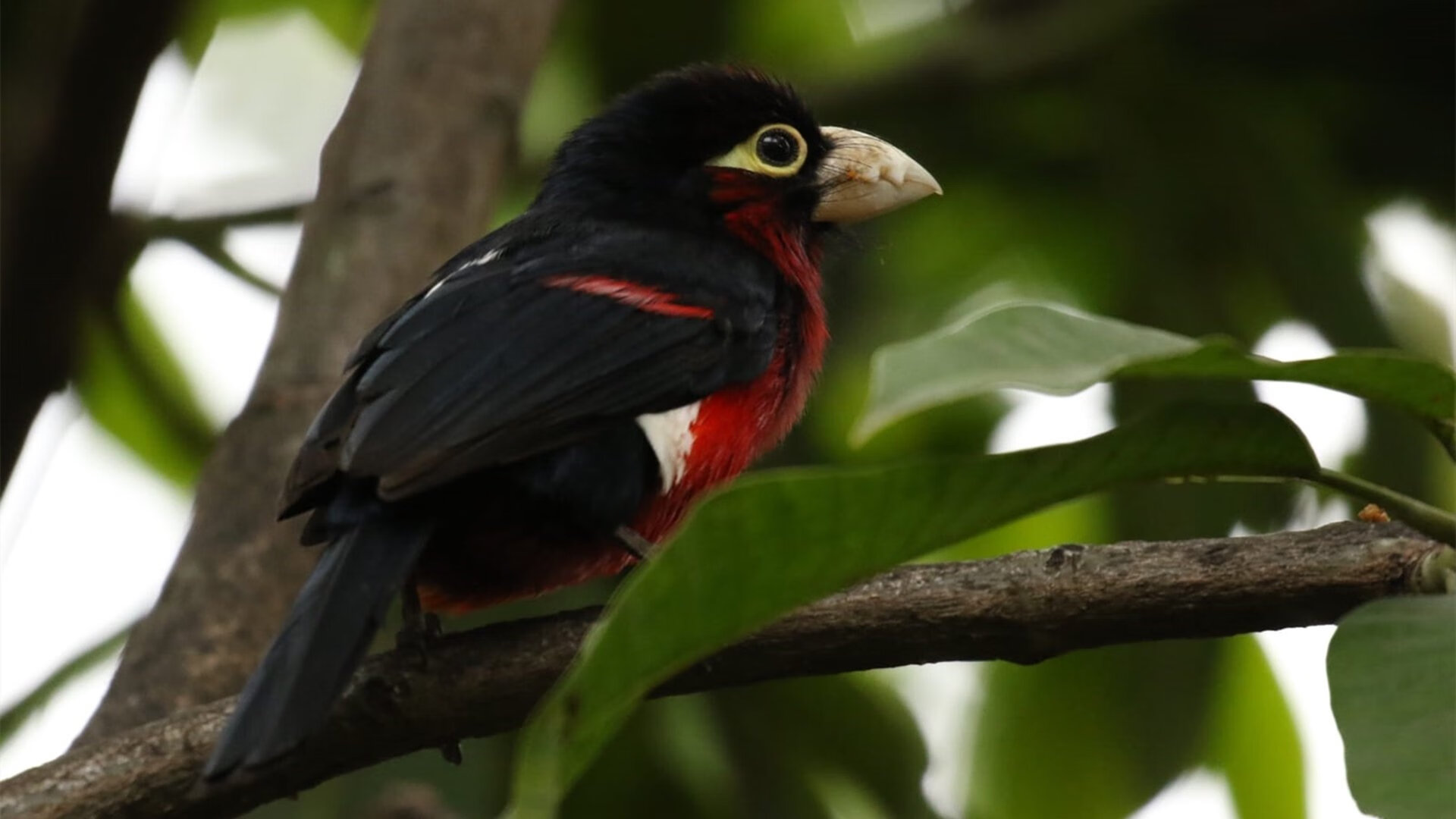 华体会登录入口-西甲新赛季赛事全纪录，精彩不断，西甲新赛季球队