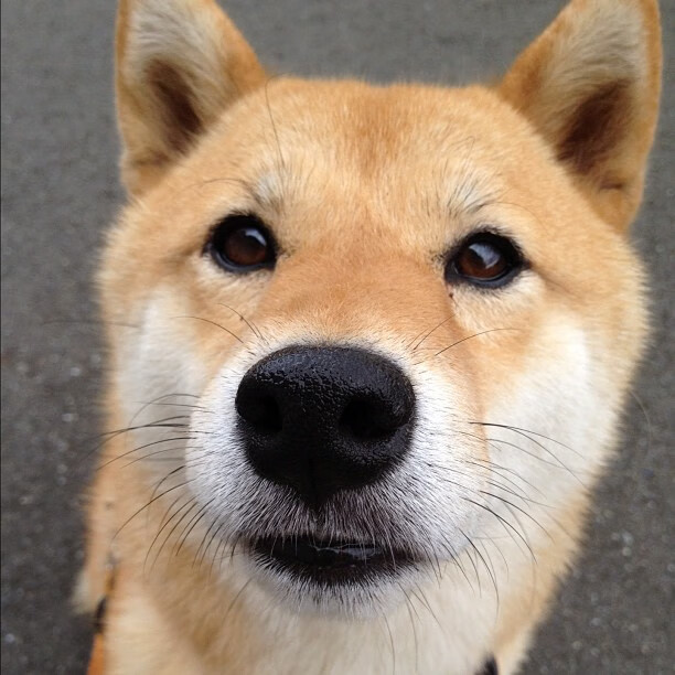 华体会hth在线登录-伯德再战神州，篮球传奇风采尽展，伯德nba