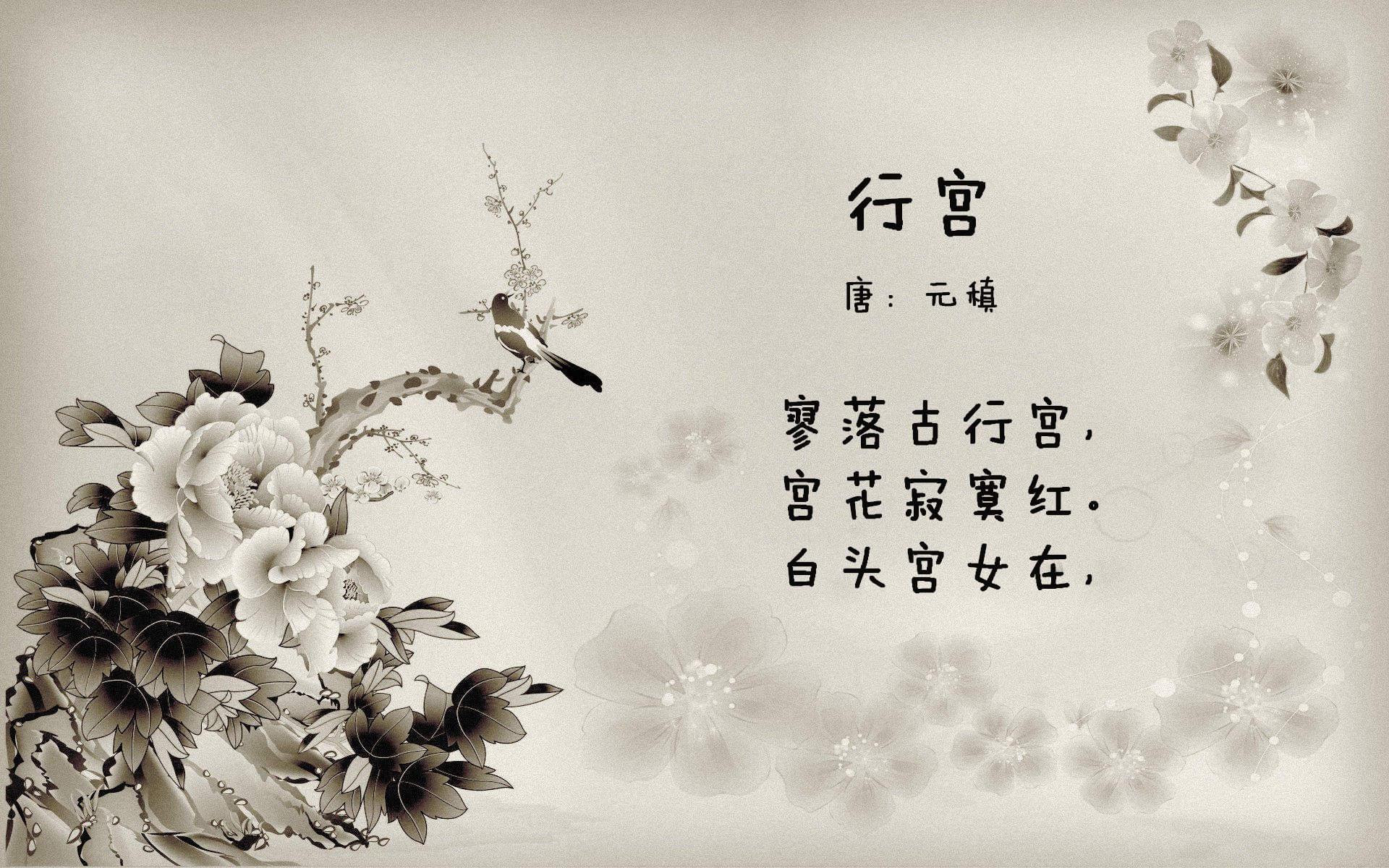 华体会hth登录-女足世界杯技战术报告发布，女足世界杯比赛用球评测