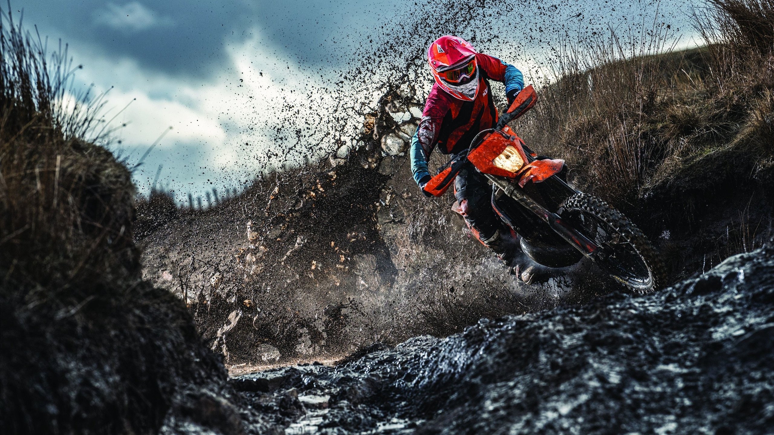 华体会hthhth app-女王公园巡游者高位拦截有效，QPR主场期待抢分，女王公园巡游者实力