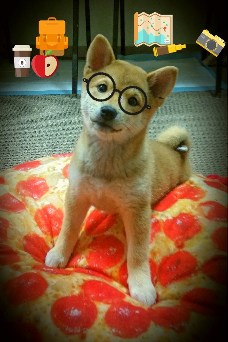 华体会平台娱乐-中国篮球职业联赛品牌形象塑造与传播策略，中国职业篮球联赛的英文字母是什么