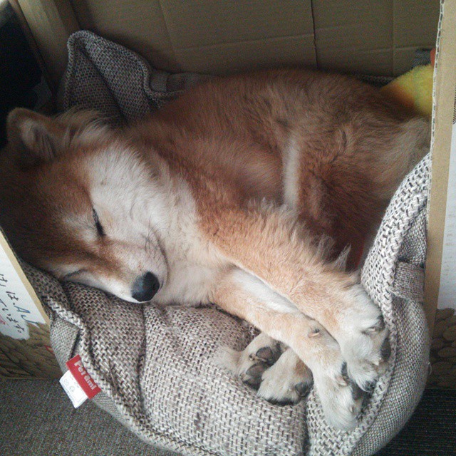 中超新赛季人员流动统计报告,中超新赛季球队