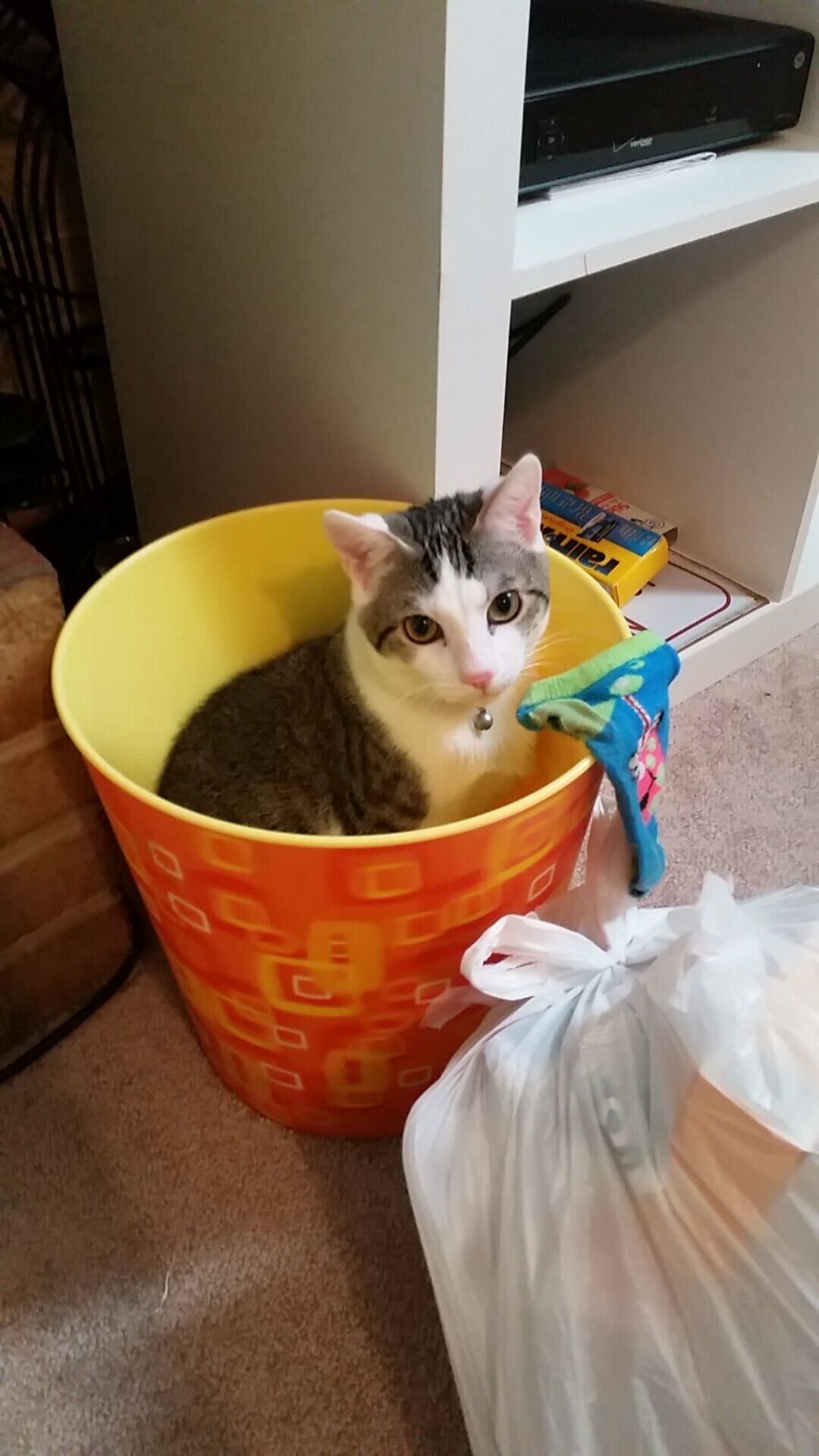 华体会hthapp注册-Chinese Taipei乒乓球队的制胜法宝：灵活战术解析，乒乓台北