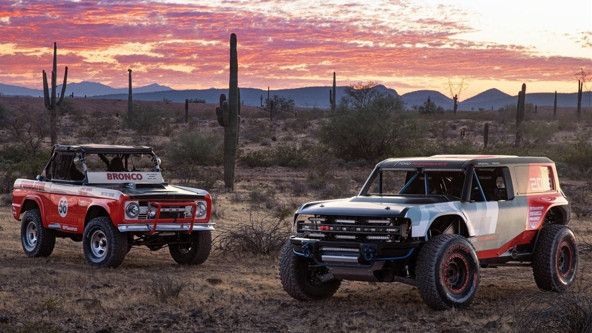 华体会hth娱乐平台-自由泳长距离突尼斯展现耐力，自由泳 突尼斯